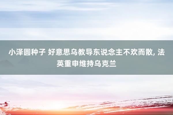 小泽圆种子 好意思乌教导东说念主不欢而散， 法英重申维持乌克兰