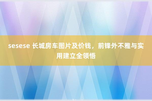 sesese 长城房车图片及价钱，前锋外不雅与实用建立全领悟