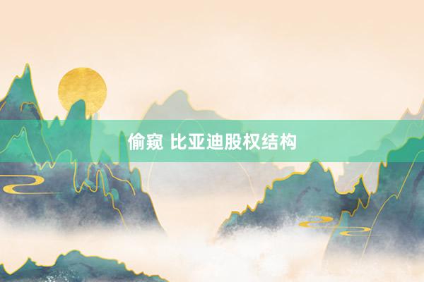 偷窥 比亚迪股权结构