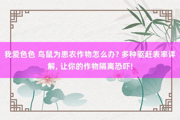 我爱色色 鸟鼠为患农作物怎么办? 多种驱赶表率详解， 让你的作物隔离恐吓!