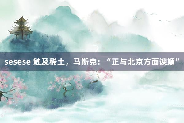 sesese 触及稀土，马斯克：“正与北京方面谀媚”
