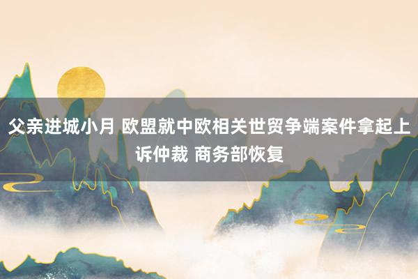 父亲进城小月 欧盟就中欧相关世贸争端案件拿起上诉仲裁 商务部恢复