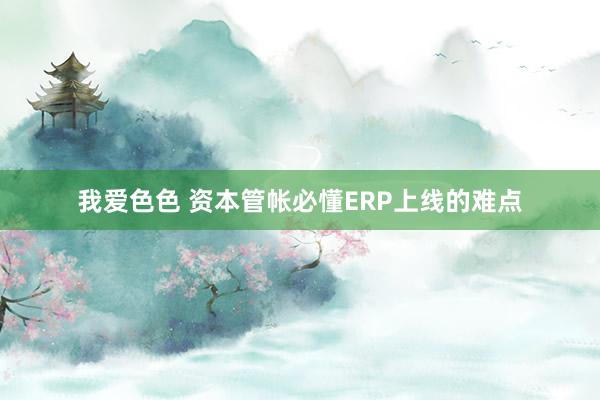 我爱色色 资本管帐必懂ERP上线的难点