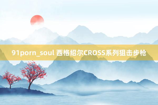 91porn_soul 西格绍尔CROSS系列狙击步枪